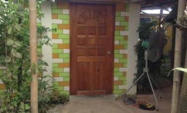 SMALL COMMERCIAL CENTER FOR SALE ID 14656