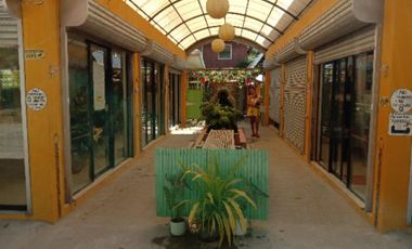 SMALL COMMERCIAL CENTER FOR SALE ID 14656
