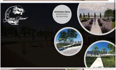 VENTA DE TERRENOS EN LERDO DURANGO