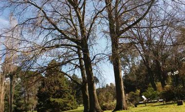 Chalet en venta en Guernica