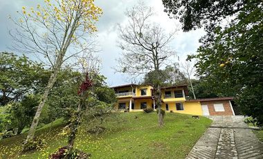 VENTA de FINCAS en AMAGA