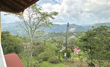 VENTA de FINCAS en AMAGA