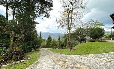 VENTA de FINCAS en AMAGA