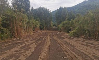 Sitio en Venta en Saltos de Nilahue