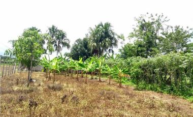 LOTE DE 860 M2 EN BOCA LA CEIBA