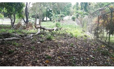 Terreno Playa Corona Avenida Corona 8803, SanCarlos,