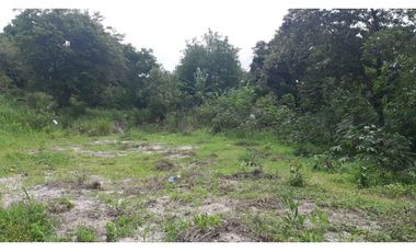 Terreno Playa Corona Avenida Corona 8803, SanCarlos,
