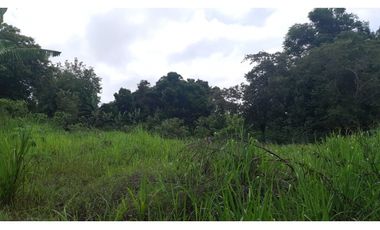 Terreno Playa Corona Avenida Corona 8803, SanCarlos,