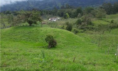 Venta de Finca ganadera y cultivable en San Bernardo Cundinamarca