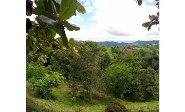 Se vende cabaña con (1hectarea) nunca antes vista