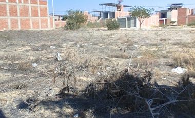 Terreno venta en Piura, Castilla
