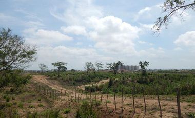 lote en arriendo/venta en los almendros. Cod A93081