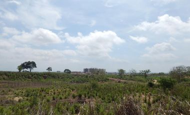 lote en arriendo/venta en los almendros. Cod A93081