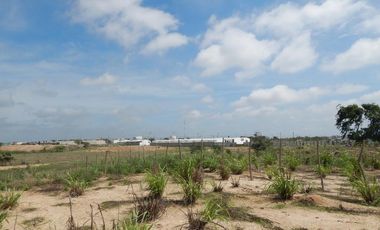 lote en arriendo/venta en los almendros. Cod A93081