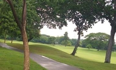 Undervalued Lot for Sale in Manila Southwoods Estates near Alabang in Carmona Cavite