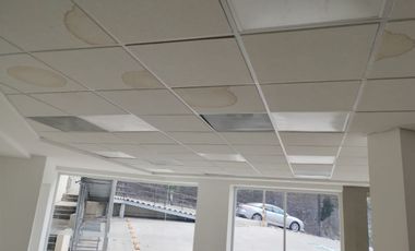 LOCAL COMERCIAL EN RENTA
