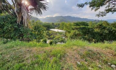 Overlooking 216 SQM Residential Lot for Sale in Greenwoods Subdivision Near Talamban Cebu City