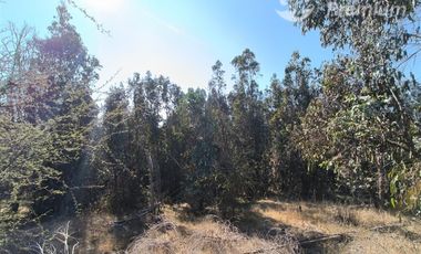 Parcela Agrícola con Derechos de Agua en Venta - Codigua.
