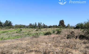 Parcela Agrícola con Derechos de Agua en Venta - Codigua.