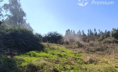 Parcela Agrícola con Derechos de Agua en Venta - Codigua.