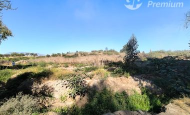 Parcela Agrícola con Derechos de Agua en Venta - Codigua.