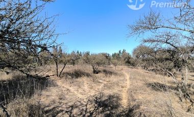Parcela Agrícola con Derechos de Agua en Venta - Codigua.