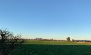 Agrícola en Venta en Parral