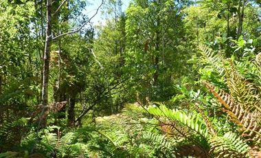 Parcela en venta en Puerto Varas