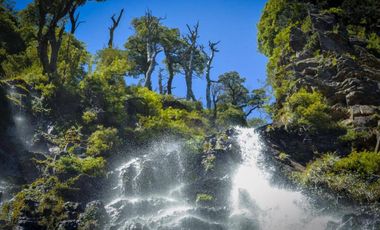 Parque natural de parcelas 209,5 ha en Melipeuco