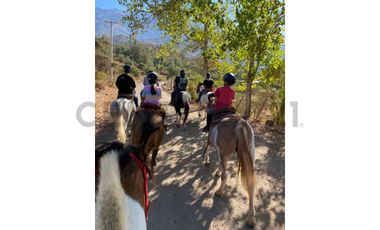 Parque natural de parcelas 209,5 ha en Melipeuco