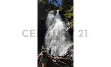 Parque natural de parcelas 209,5 ha en Melipeuco