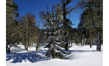 Parque natural de parcelas 209,5 ha en Melipeuco