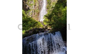 Parque natural de parcelas 209,5 ha en Melipeuco