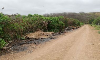 terreno agrícola urbano de venta charapoto Manabí