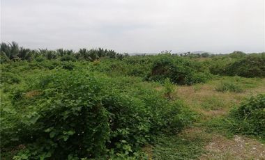 terreno agrícola urbano de venta charapoto Manabí