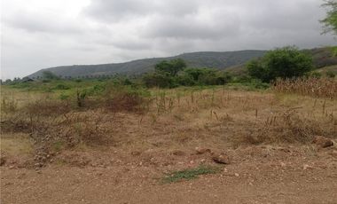 terreno agrícola urbano de venta charapoto Manabí