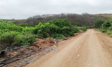 terreno agrícola urbano de venta charapoto Manabí