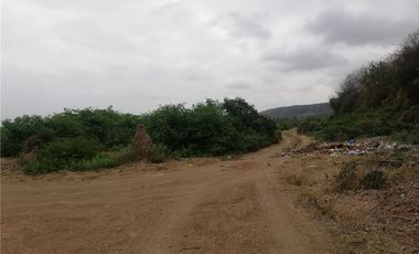 terreno agrícola urbano de venta charapoto Manabí