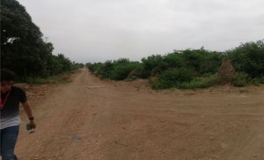 terreno agrícola urbano de venta charapoto Manabí