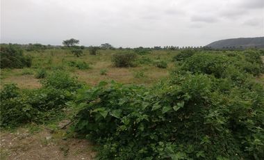 terreno agrícola urbano de venta charapoto Manabí
