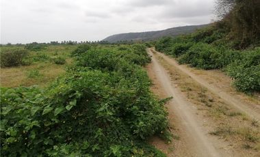 terreno agrícola urbano de venta charapoto Manabí