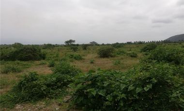 terreno agrícola urbano de venta charapoto Manabí