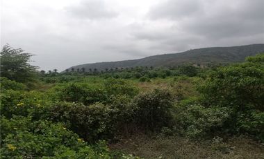 terreno agrícola urbano de venta charapoto Manabí