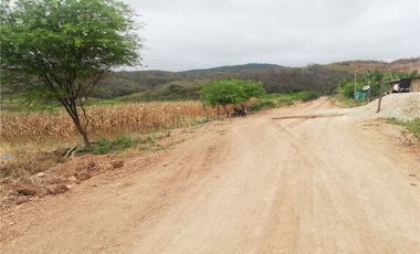 terreno agrícola urbano de venta charapoto Manabí