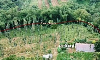 DIJUAL TANAH BATURITI TABANAN, BALI