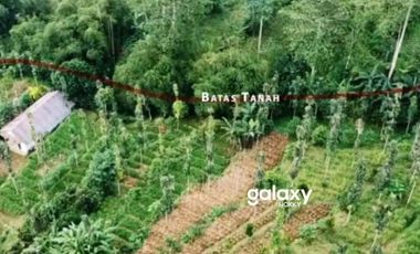 DIJUAL TANAH BATURITI TABANAN, BALI