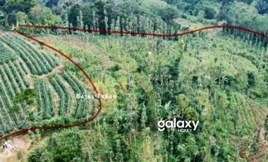 DIJUAL TANAH BATURITI TABANAN, BALI