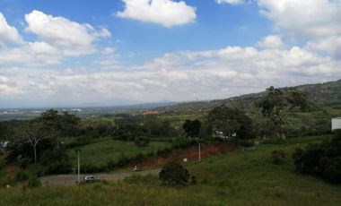 lote en venta en pance. Cod V9407