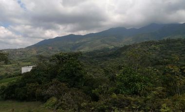 lote en venta en pance. Cod V9407