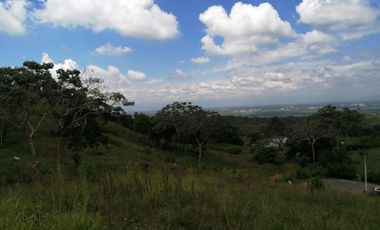 lote en venta en pance. Cod V9407